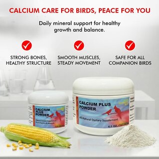 Morning Bird Calcium Plus Powder for Birds 2 oz