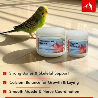 Morning Bird Calcium Plus Powder for Birds 2 oz