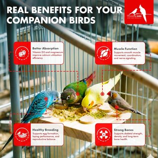 Morning Bird Calcium Plus Powder for Birds 2 oz