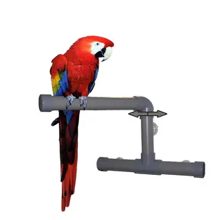 ZOO-MAX ZOO-MAX T2003 Shower Perch Large 10″ X 15″