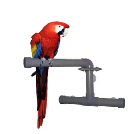 ZOO-MAX ZOO-MAX T2002 Shower Perch Medium 9″X12″