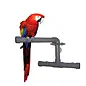 ZOO-MAX ZOO-MAX T2002 Shower Perch Medium 9″X12″
