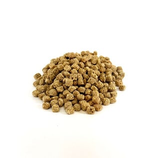 HARRISON'S Harrison's Spicy Lifetime Coarse 1#