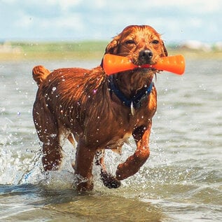 Bionic Urban Stick Tough Treating  Chew Toy, Orange Small 8-in