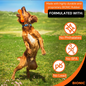 Bionic Urban Stick Tough Treating Dog Chew Toy Orange Medium 9-in