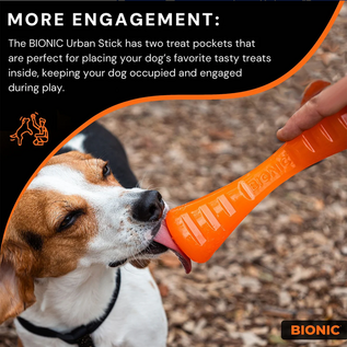 Bionic Urban Stick Tough Treating Dog Chew Toy Orange Large 10-in