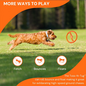 Bionic Toss-N-Tug Tough Dog Fetch Toy Orange Large 9-in