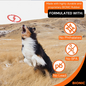 Bionic Toss-N-Tug Tough Dog Fetch Toy Orange Large 9-in