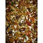ISLAND TREAT Island Treat Natures Garden Parrot 10 #
