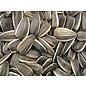 ABBA PRODUCTS Large Unsalted Sunflower Seed Bulk 4#  Bag
