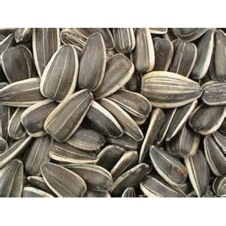 ABBA PRODUCTS Large Unsalted Sunflower Seed Bulk 1#  Bag