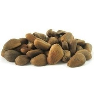 Pine Nuts Raw in the Shell Bulk 1# bag