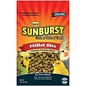 HIGGINS Higgins Sunburst Millet Bit Treat 1 oz