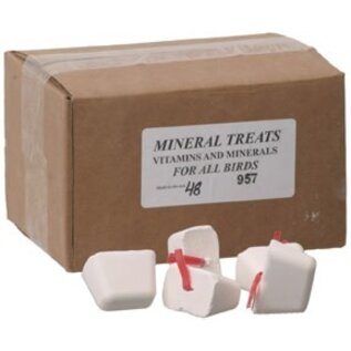 JAKE - Avian Supplements - Mineral Treats - Small 1 3/4" x 1 1/4" - Tie-on each