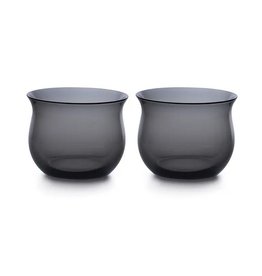 Teroforma Issi Tumblers Charcoal, Set of 2