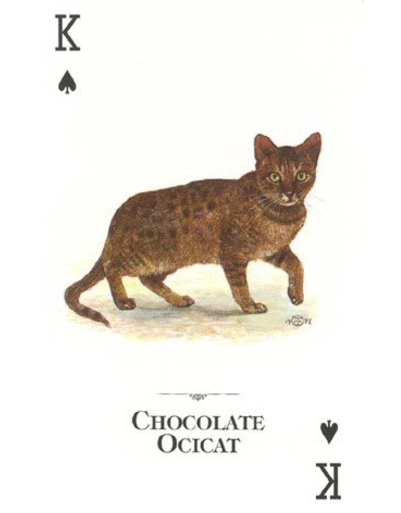 Cats of the World Playing Cards