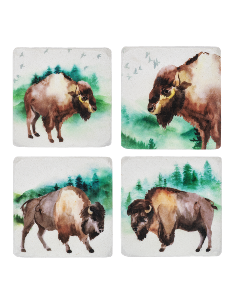 Coaster Set - Buffalo