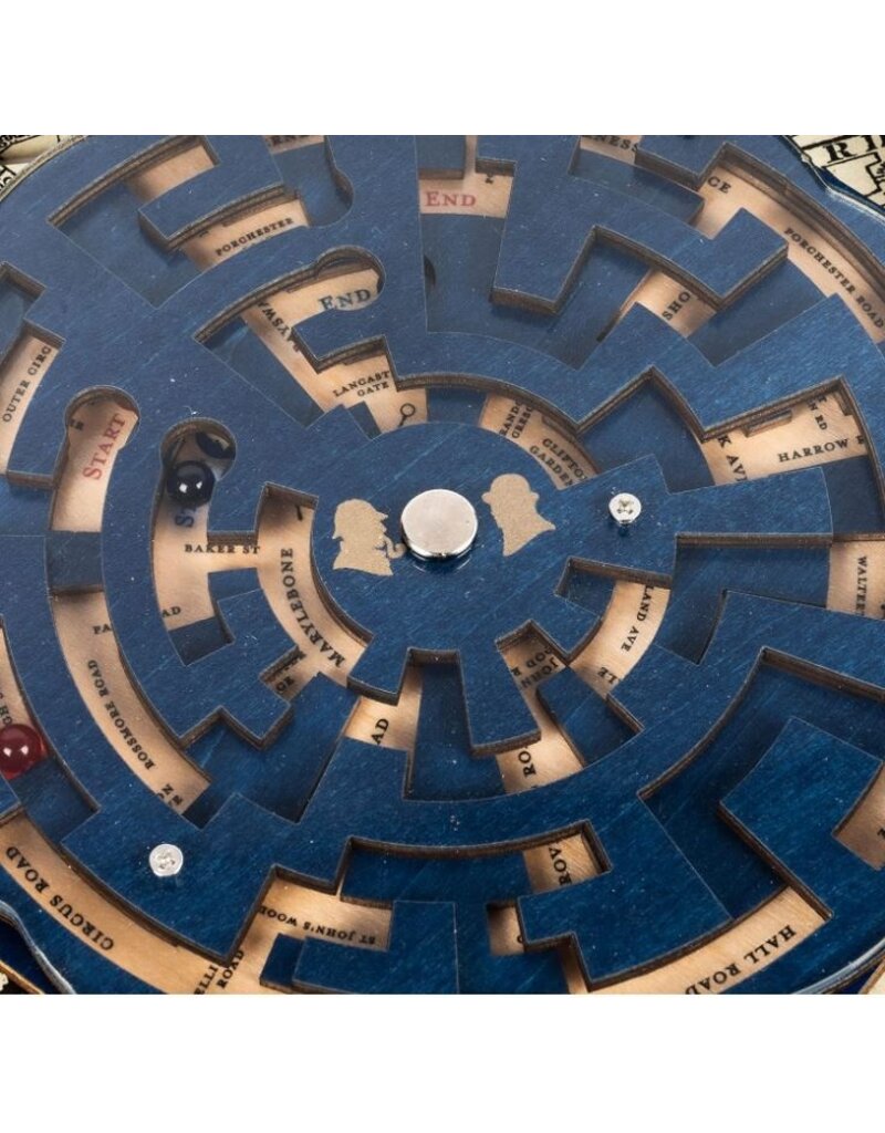 Professor Puzzle The Case of Moriarty's Lair | Maze Puzzle