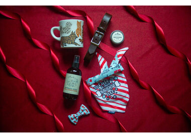 Best Gifts for the Dog-Lover 