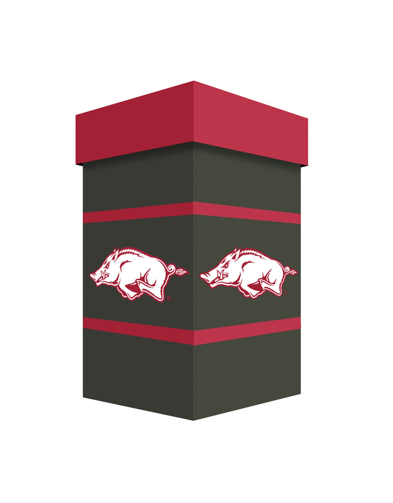 Ceramic Stein | University of Arkansas Razorbacks