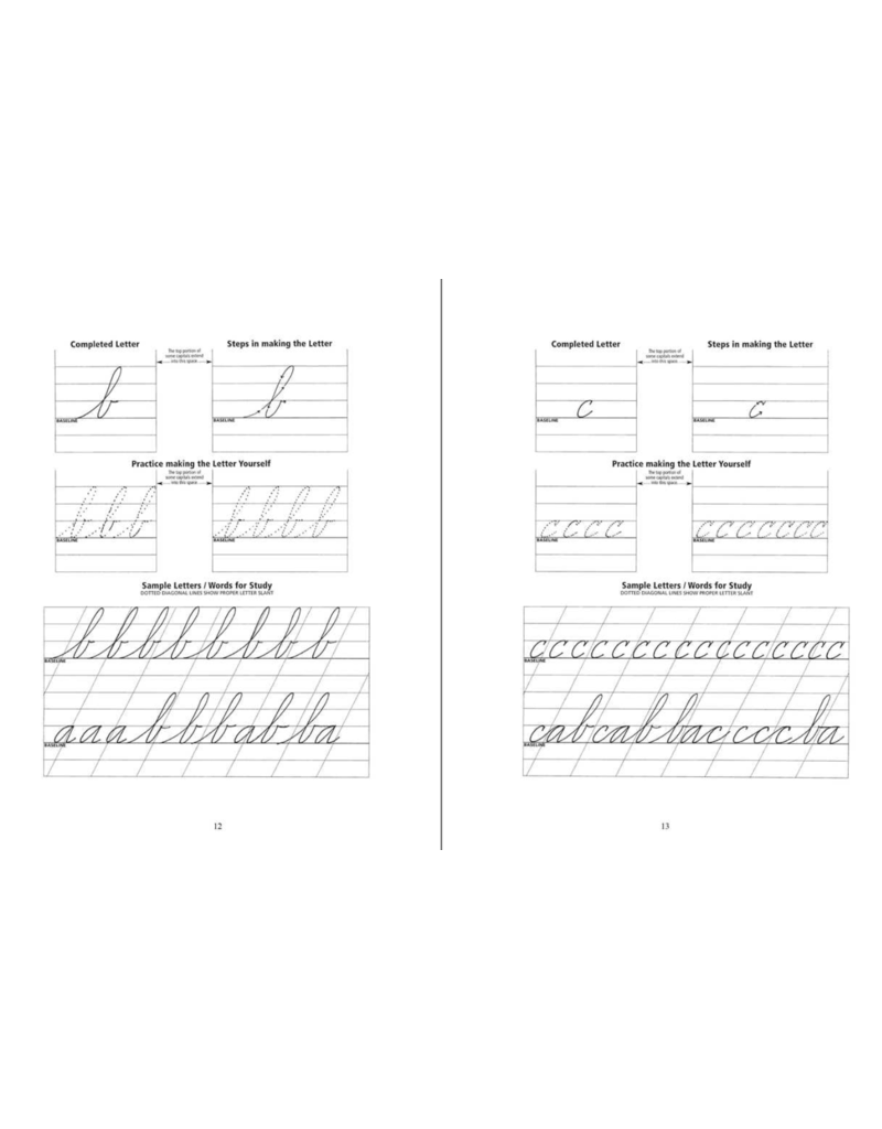 Skyhorse Publishing The Art of Cursive Penmanship | Michael R. Sull