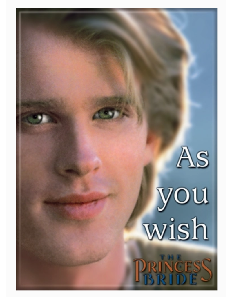 Ata-Boy Magnet | The Princess Bride | Choose Design!