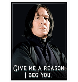 Ata-Boy Magnet | Harry Potter | Choose Design!