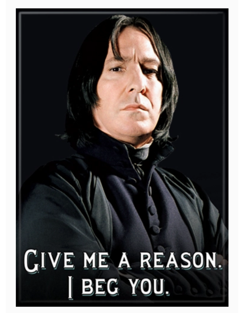 Ata-Boy Magnet | Harry Potter | Choose Design!