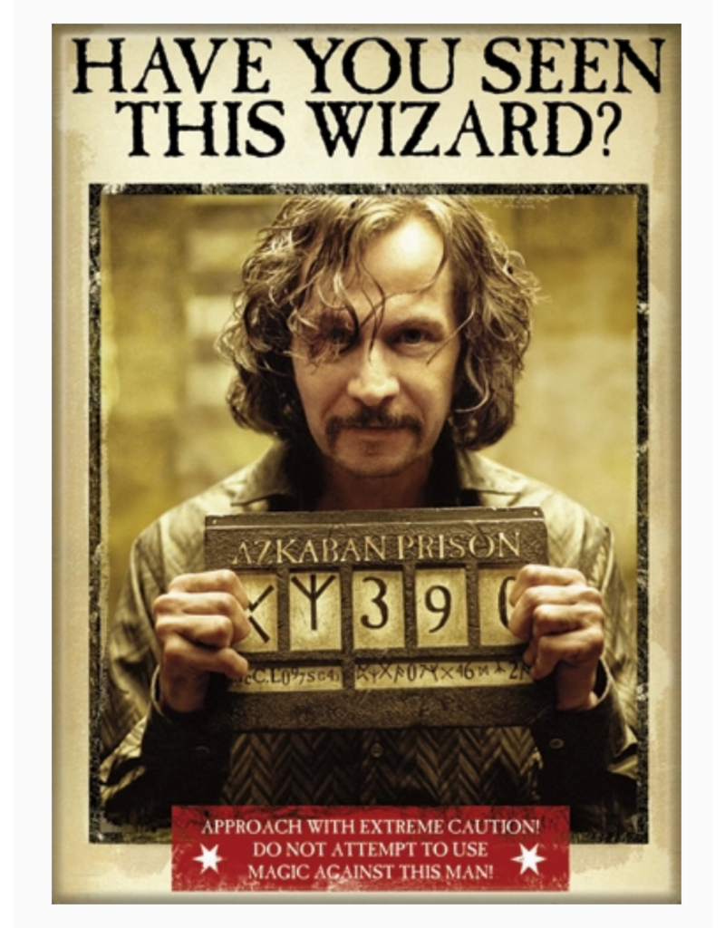 Ata-Boy Magnet | Harry Potter | Choose Design!