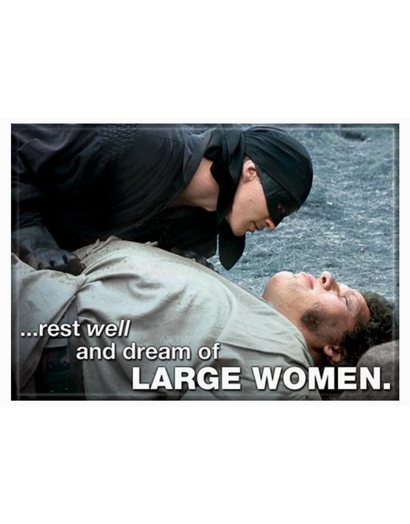 Ata-Boy The Princess Bride Magnets | Choose Design