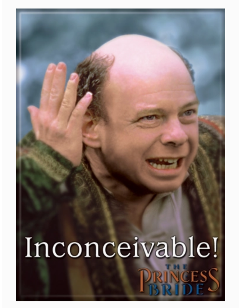 Ata-Boy Magnet | The Princess Bride | Choose Design!