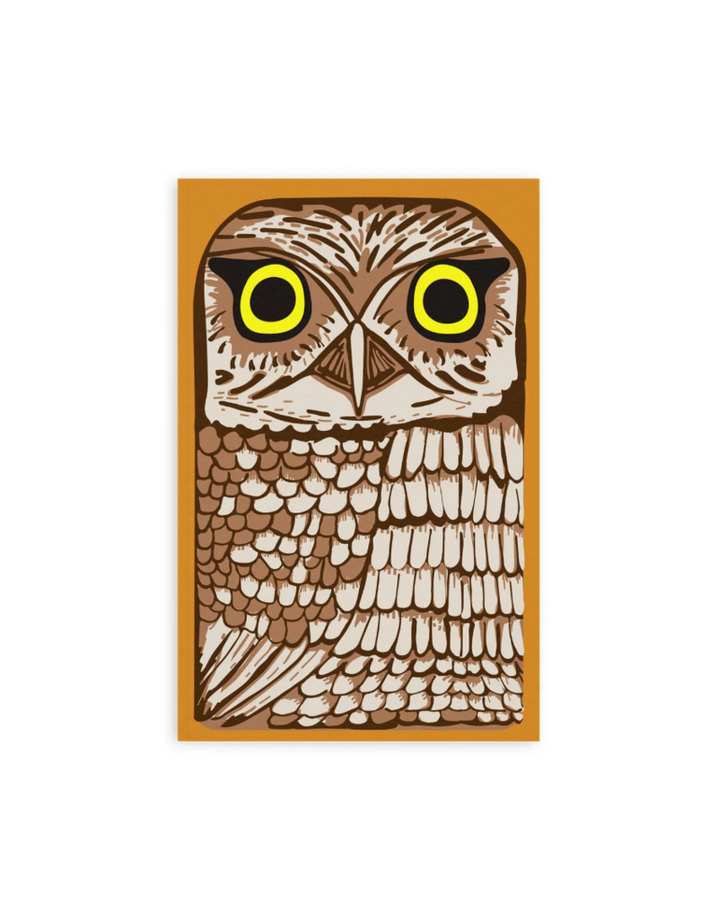 Retro 51 Retro 51 Notebook | Owl Rescue