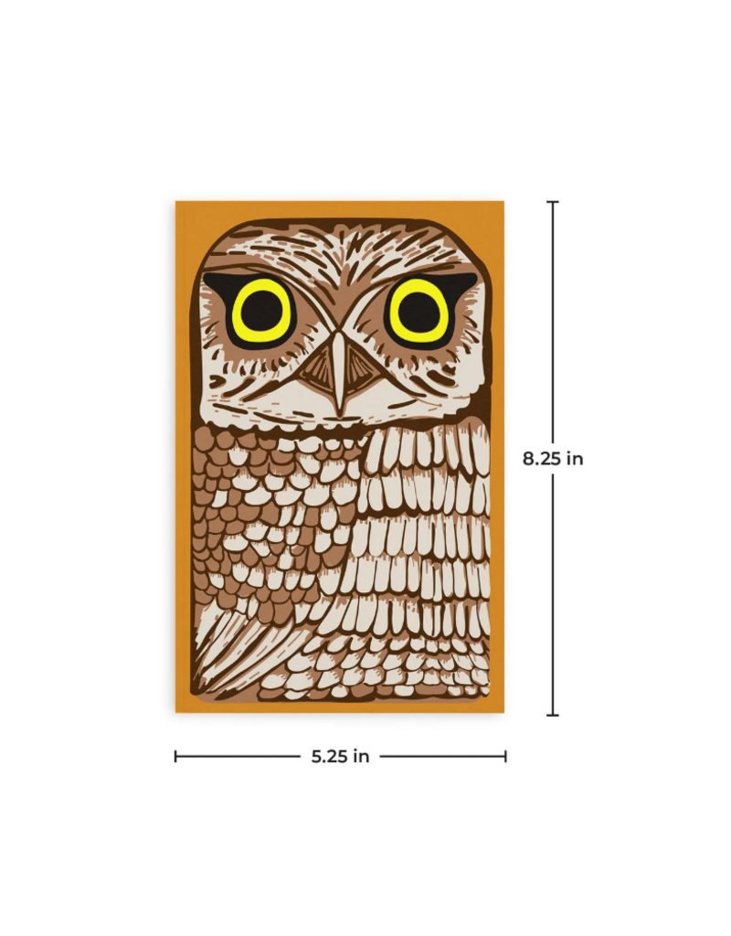 Retro 51 Retro 51 Notebook | Owl Rescue