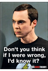 Ata-Boy Magnet | Big Bang Theory | If I Were Wrong