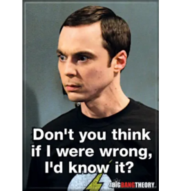 Ata-Boy Magnet | Big Bang Theory | If I Were Wrong