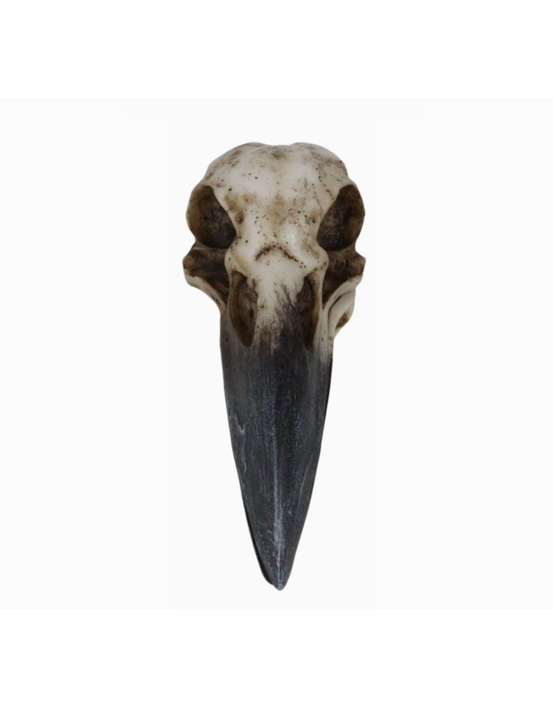 Pacific Giftware Raven Skull Box