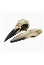 Pacific Giftware Raven Skull Box