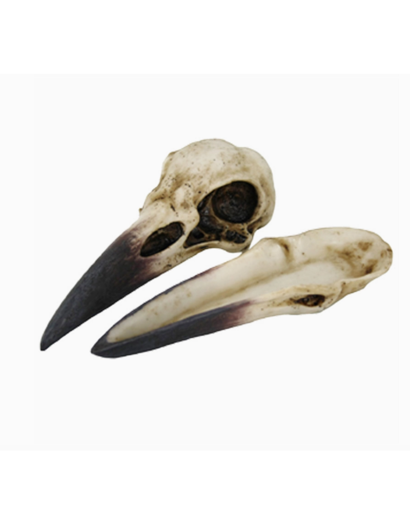 Pacific Giftware Raven Skull Box