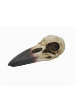 Pacific Giftware Raven Skull Box