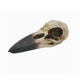 Pacific Giftware Raven Skull Box
