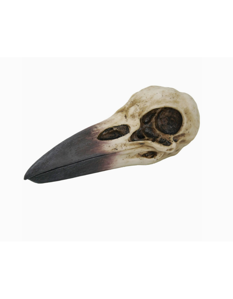 Pacific Giftware Raven Skull Box