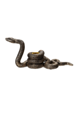 Pacific Giftware Snake Candle Holder