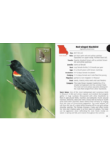 Birds of Missouri Field Guide