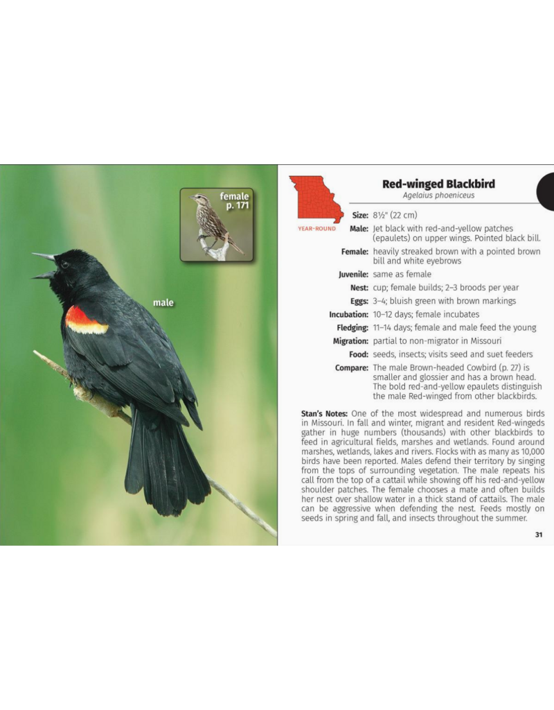 Birds of Missouri Field Guide