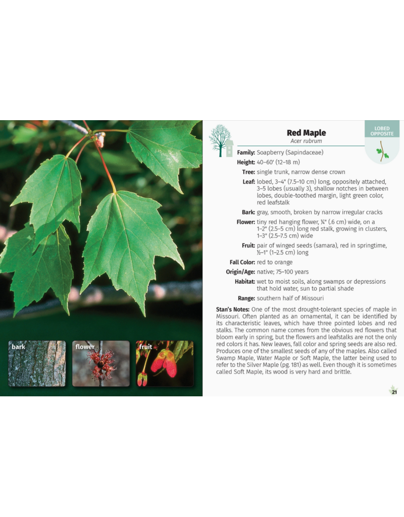 Trees of Missouri Field Guide 2nd Edition