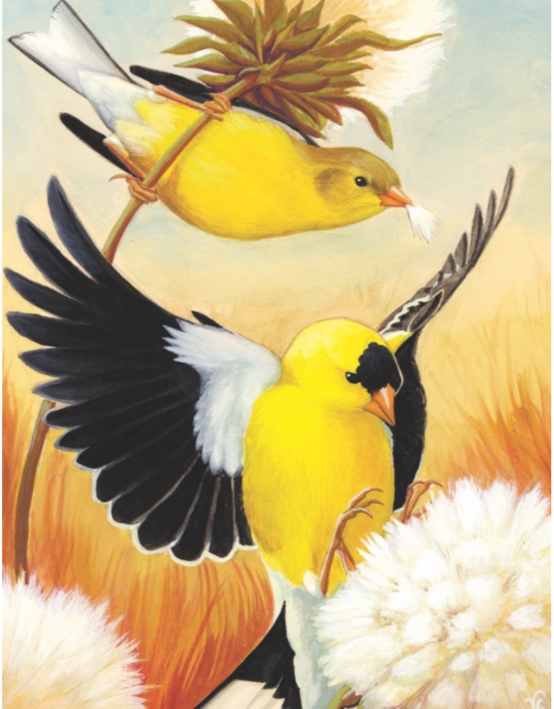 New York Puzzle Co. Puzzle | American Goldfinches | 100 pc