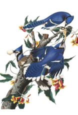 New York Puzzle Co. Puzzle | Blue Jays | 500 pc