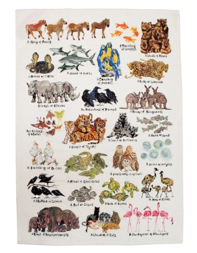 Unemployed Philosophers Guild Tea Towel | Animal Groupings