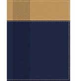 NIV Starting Place Study Bible - Navy/Tan Indexed