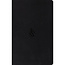 ESV Premium Gift Bible Midnight Flame